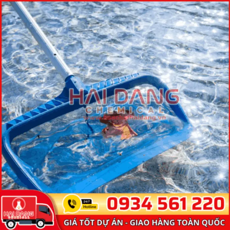 Bộ Vợt Rác Và Sào Nhôm Vệ Sinh Hồ Bơi Chuyên Dụng