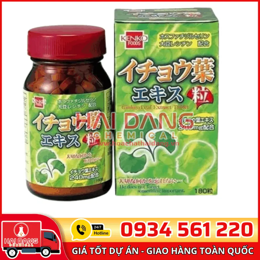 Chiết Xuất Bạch Quả Ginkgo Biloba – Hỗ Trợ Tuần Hoàn Máu Não