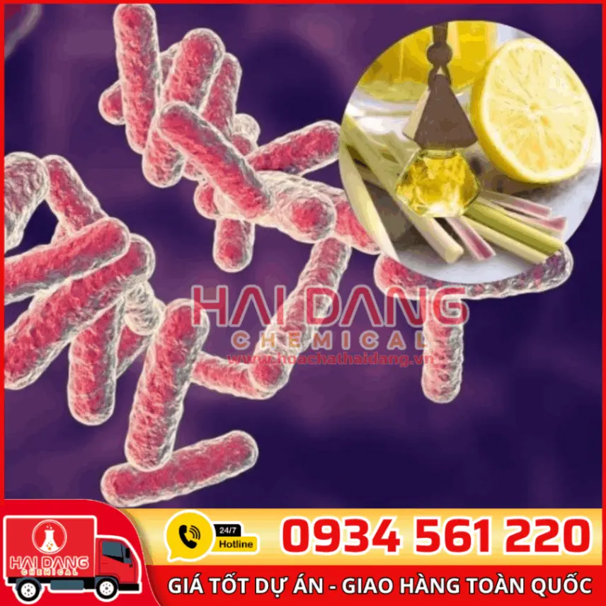 Tinh Dầu Sả Chanh Ấn Độ – Kháng Khuẩn, Khử Mùi, Thư Giãn