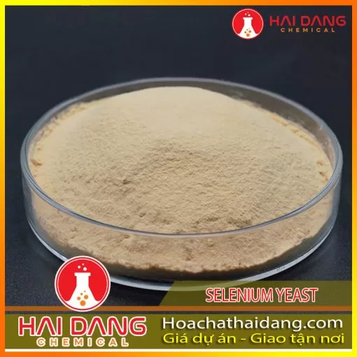 Nguyên Liệu Dược Phẩm Selenium Yeast