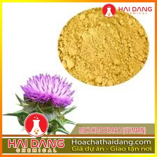 Nguyên Liệu Dược Milk Thistle Extract (Silymarin)