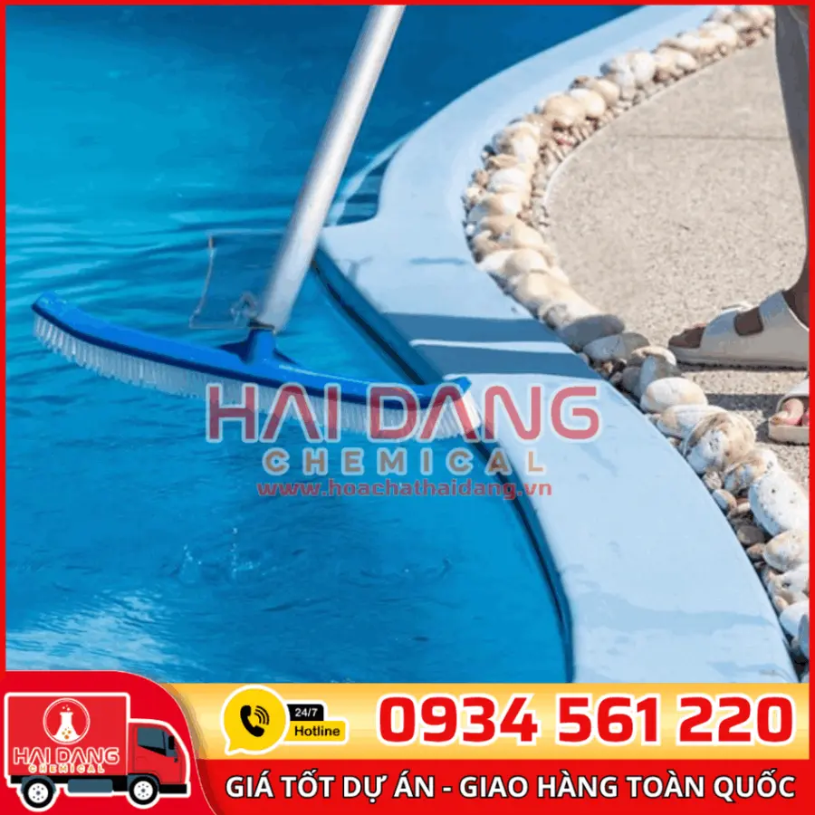 Chổi Cọ Bể Bơi Emaux CE219 Làm Sạch Mọi Góc Bể