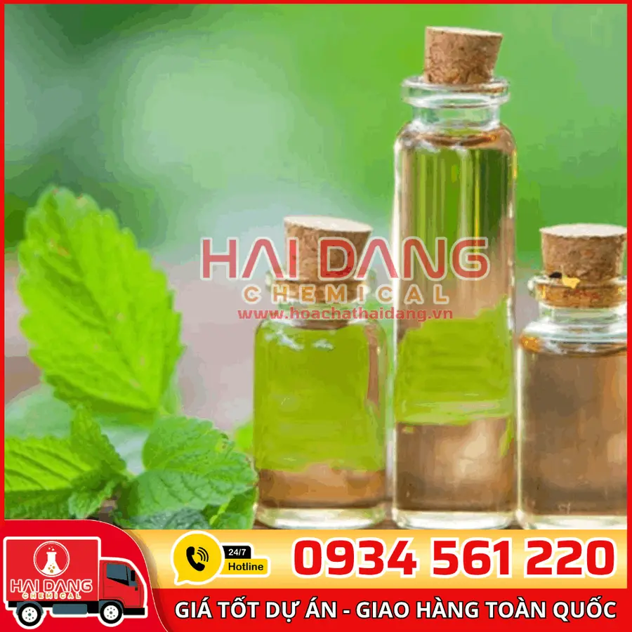 Eucalyptol 99% Trung Quốc – Tinh Dầu Tự Nhiên Dược Dụng