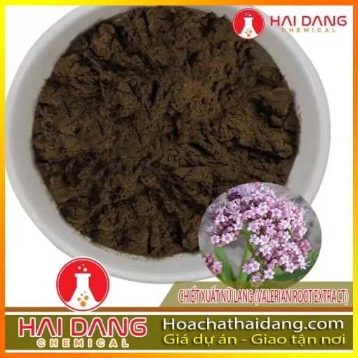 Nguyên Liệu Dược Chiết Xuất Nữ Lang (Valerian Root Extract)