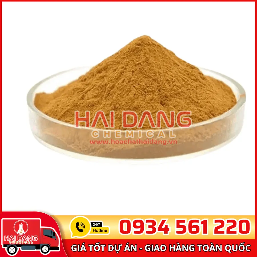 Chiết Xuất Bạch Quả Ginkgo Biloba – Hỗ Trợ Tuần Hoàn Máu Não
