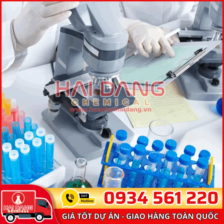 2,6-Pyridinedicarboxylic acid 25g - Macklin