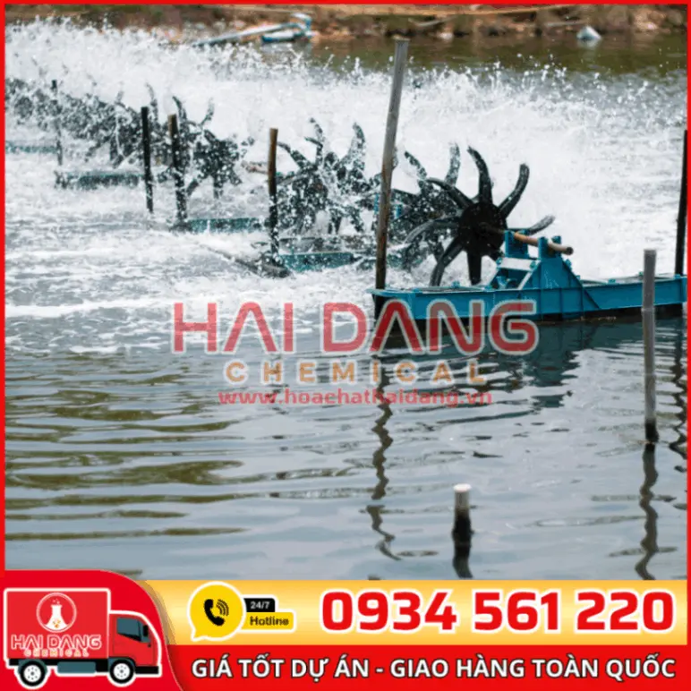 VMC OM Việt Nam Can 5 Lít