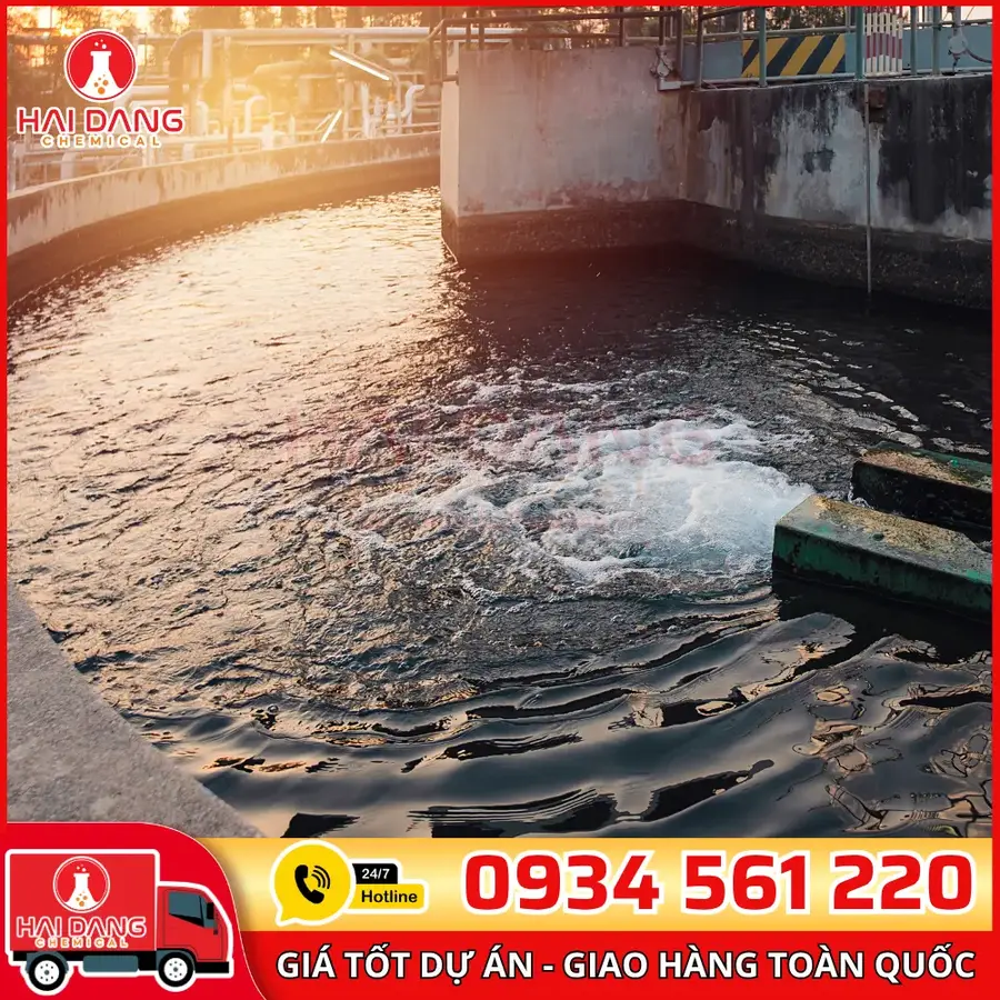 Than Hoạt Tính Hạt Eaucarb Iodine 500 Ấn Độ Bao 25kg