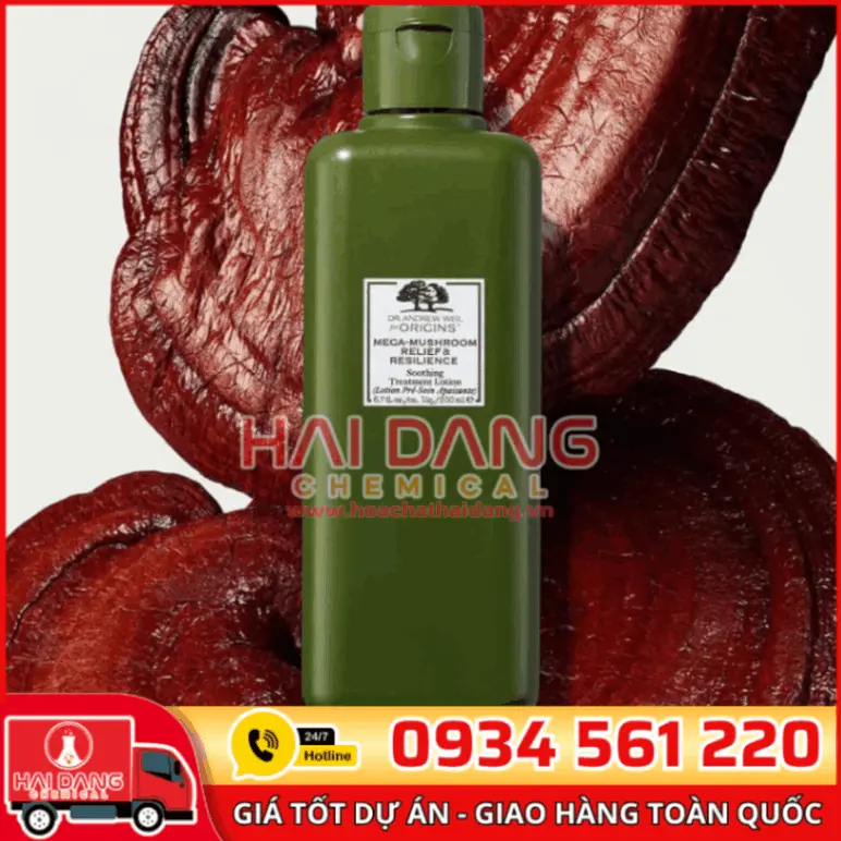 Hương English Mushroom 