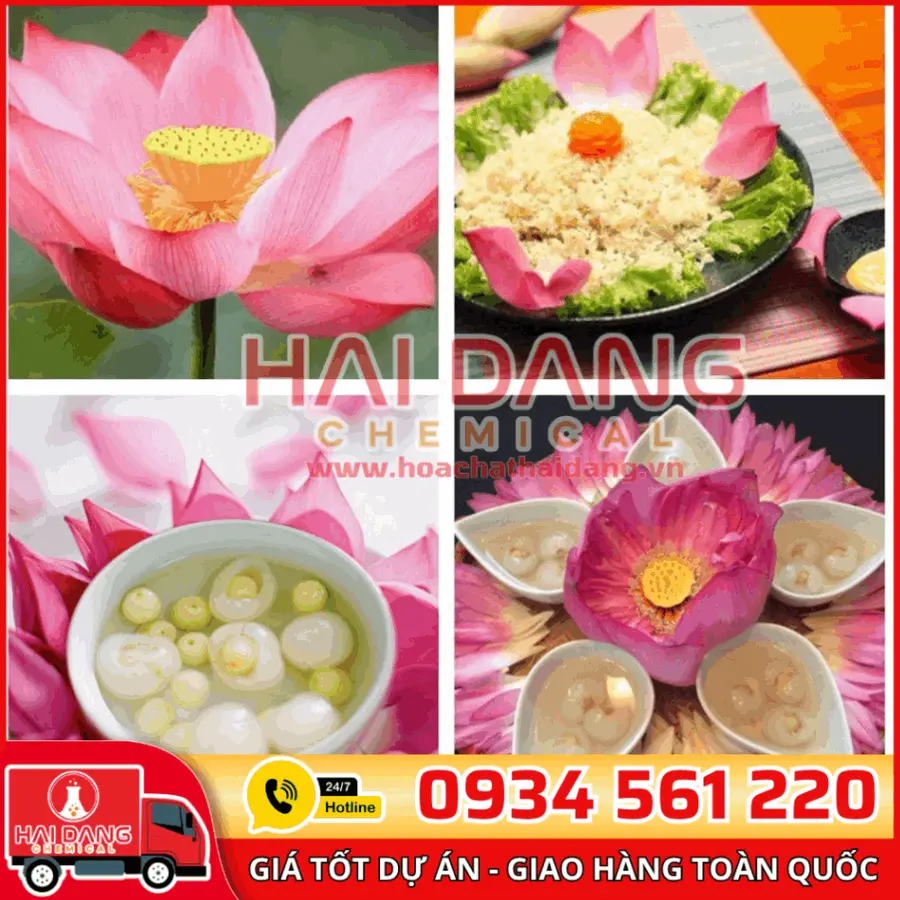 Hương Sen (Lotus) Dạng Bột 