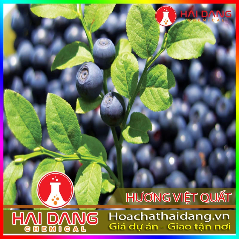 Hương Liệu Thực Phẩm Hương Việt Quất