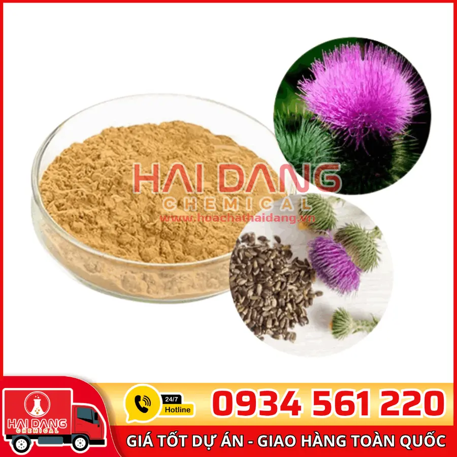 Silymarin Milk Thistle Trung Quốc – Chiết Xuất Bảo Vệ Gan Hiệu Quả