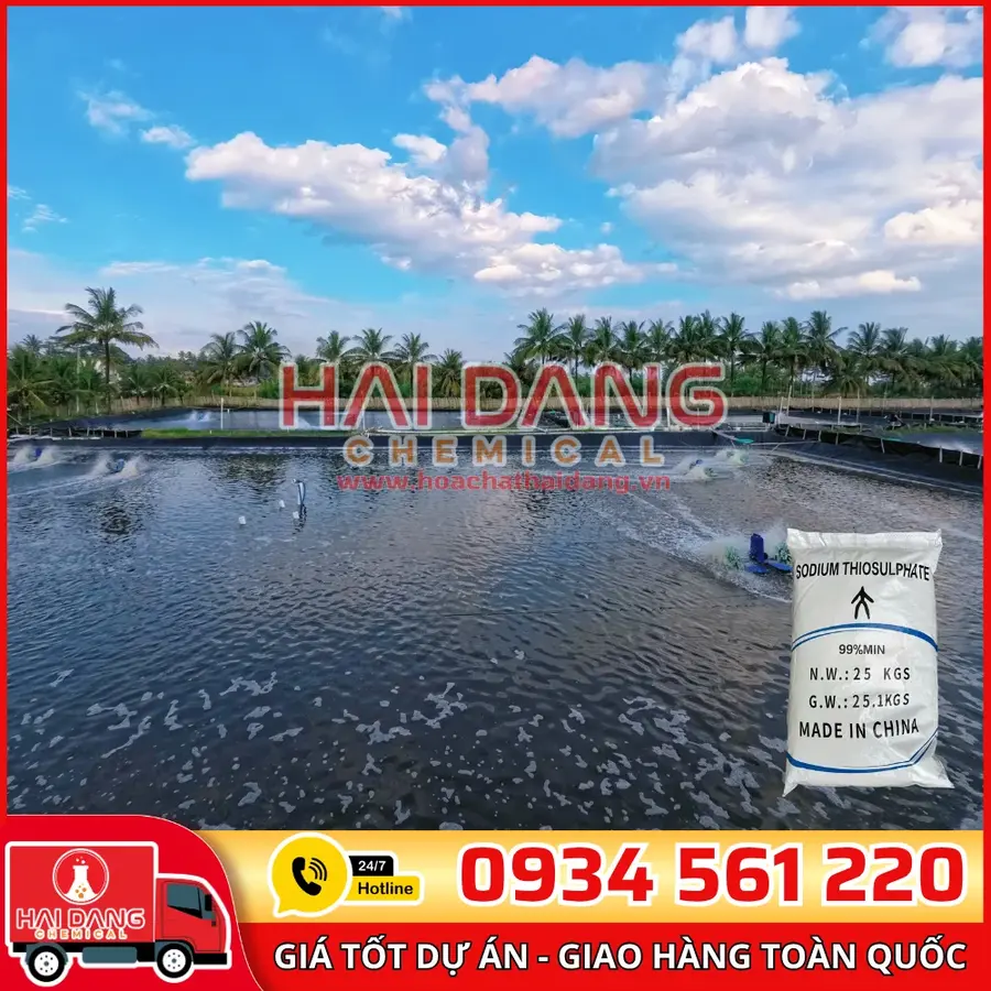 Thiosunfat Na2S2O3 China Hạt To – Khử Clo Hiệu Quả