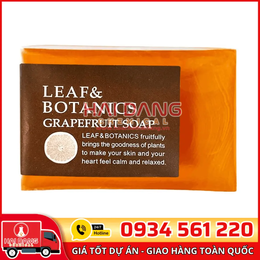 Hương Grape Fruit (Bưởi) VC6094L