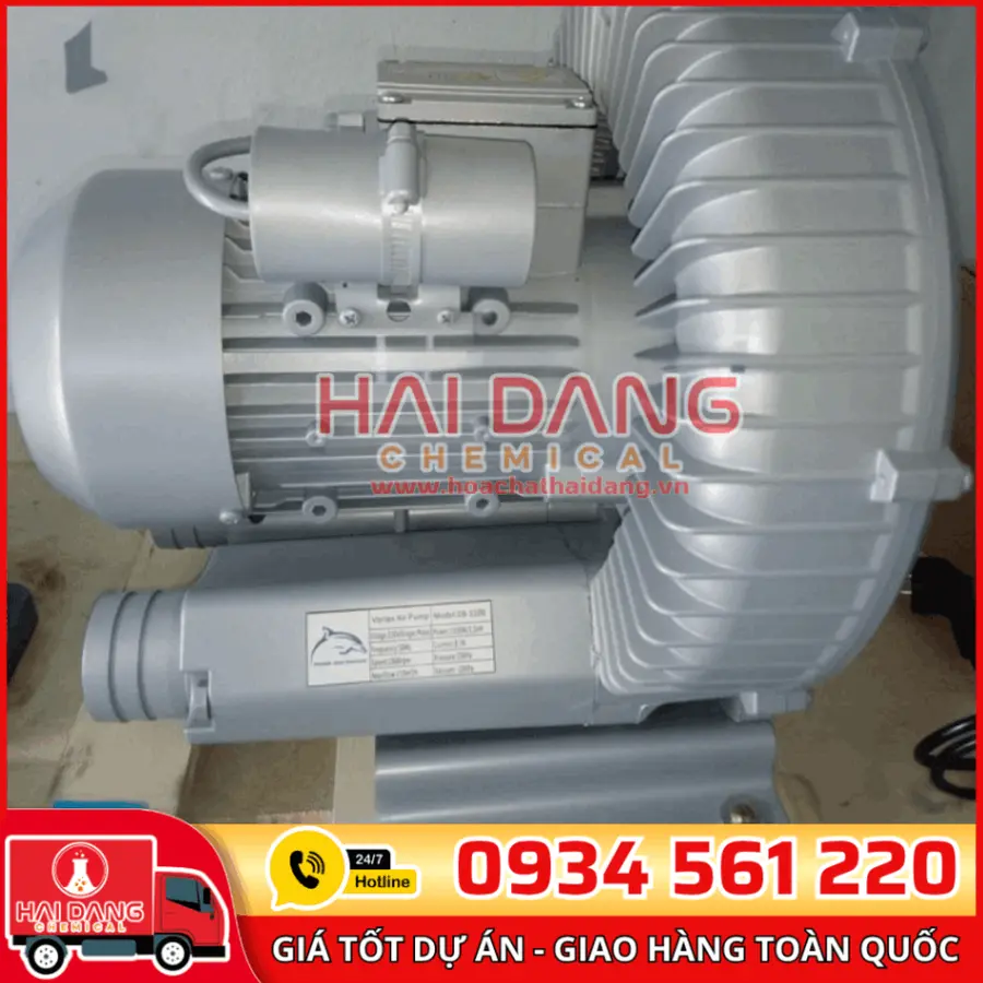 Máy Thổi Khí Con Sò Midas Đức Cho Hồ Bơi Chuyên Dụng