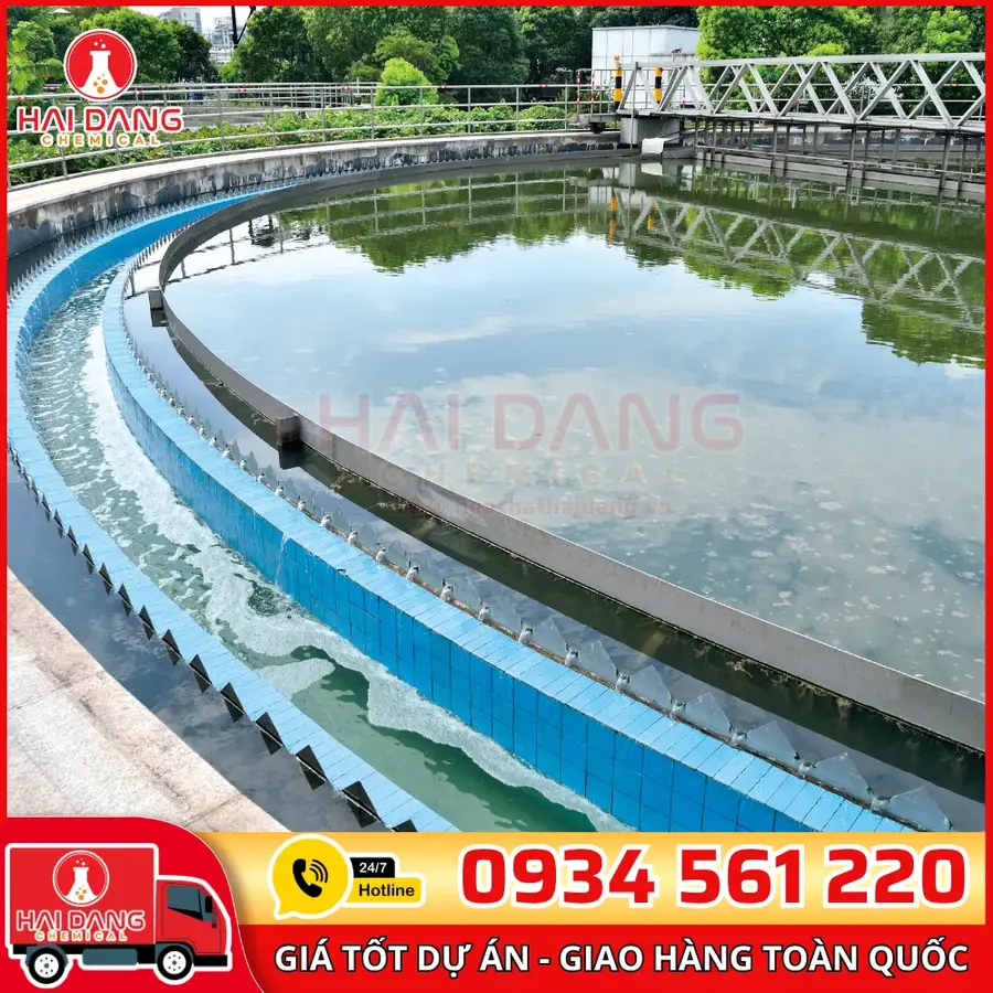 Hạt Trao Đổi Ion Tulsion A33 OH Anion Ấn Độ Bao 25 Lít