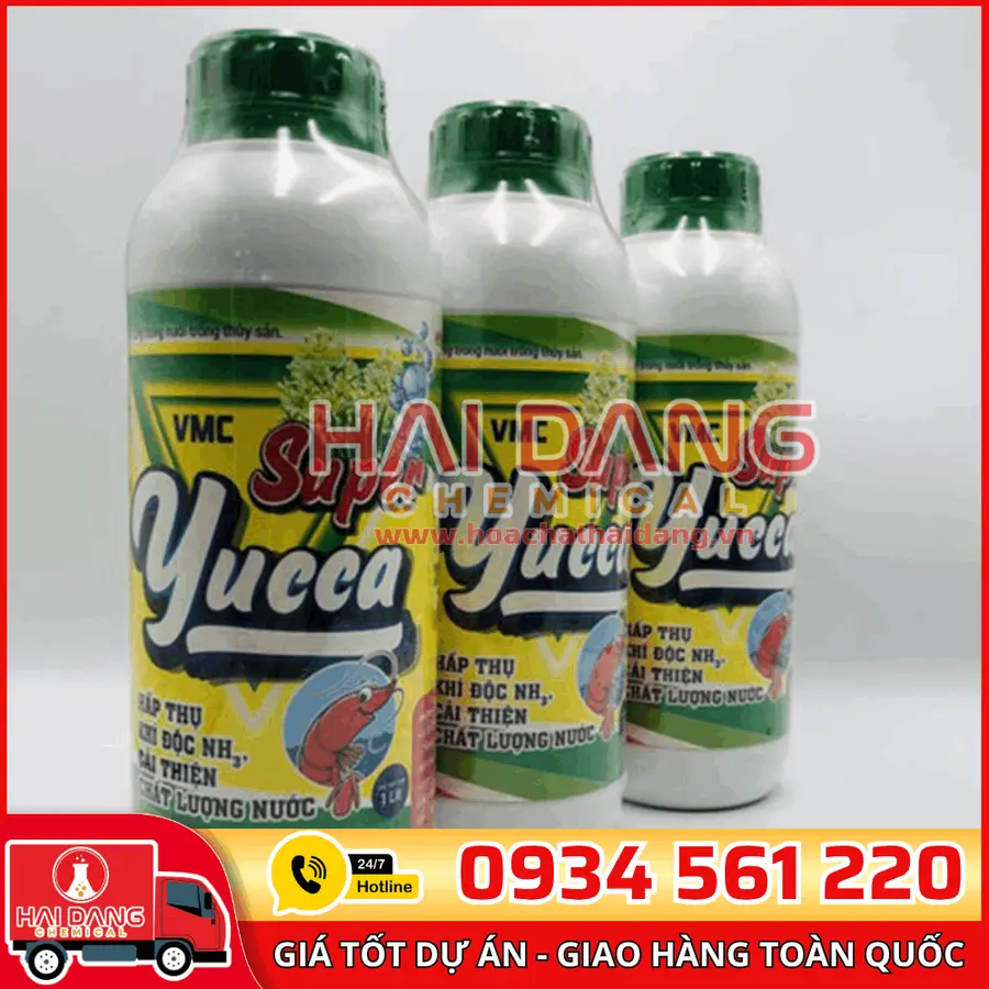 Supper Yucca Vmc