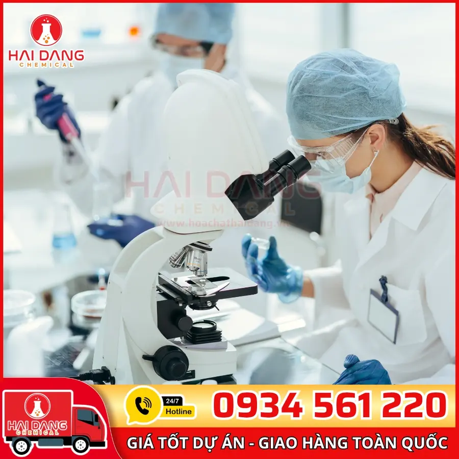Túi Đầu Tip Micropipette Có Lọc, Tiệt Trùng, BKMam – Trung Quốc