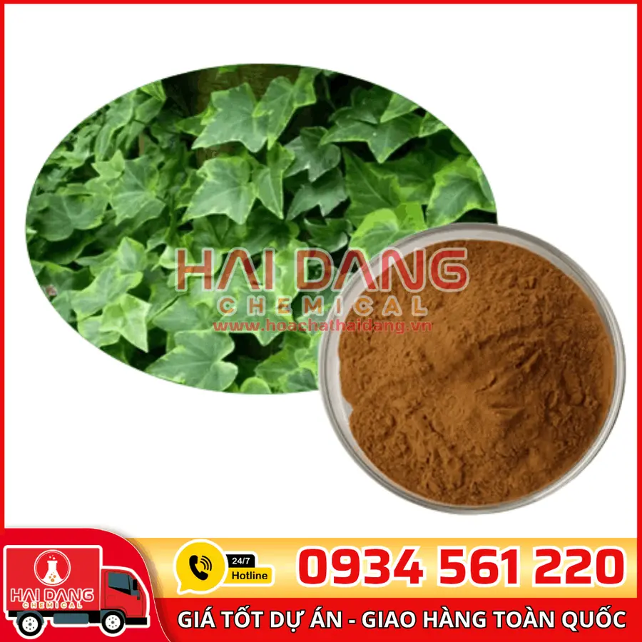 Chiết Xuất Lá Thường Xuân Ivy Extract – Nguyên Liệu Dược