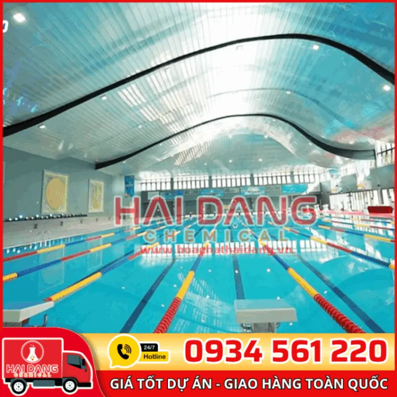 Bục Xuất Phát Bể Bơi Có Số Inox 304 Chống Trượt