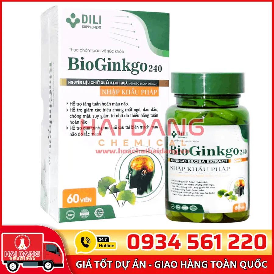 Chiết Xuất Bạch Quả Ginkgo Biloba – Hỗ Trợ Tuần Hoàn Máu Não