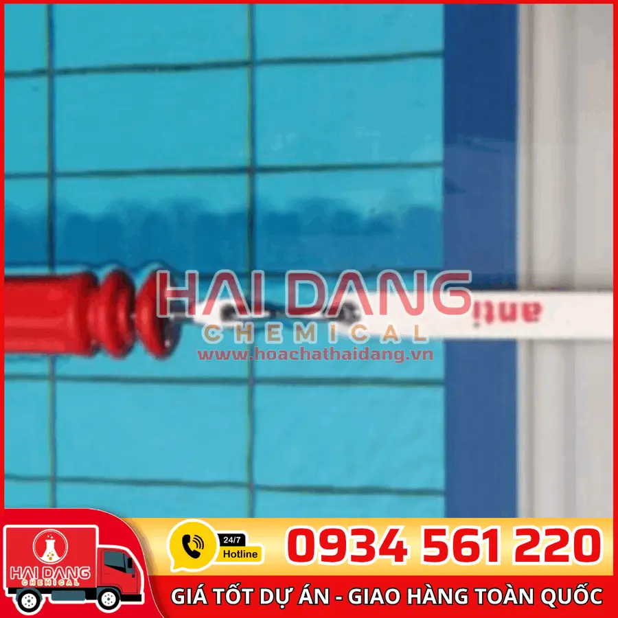 Cốc Neo Phao Emaux Inox SS316 Chống Gỉ Dành Cho Hồ Bơi
