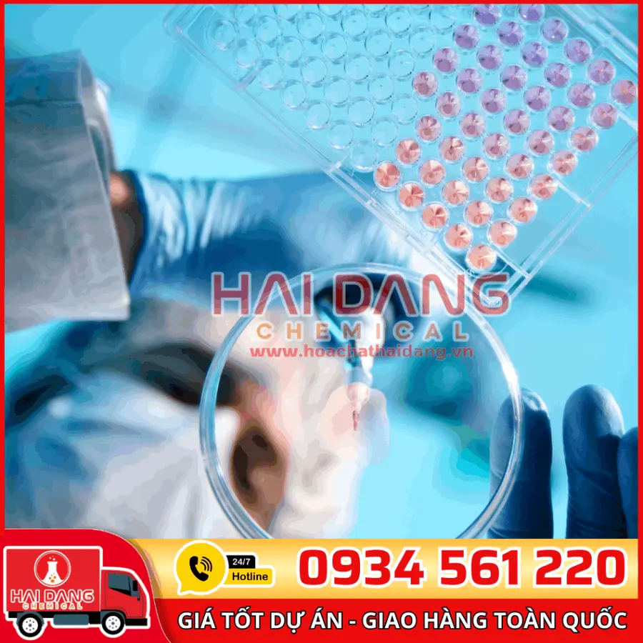 Maleic anhydride 500g - Macklin