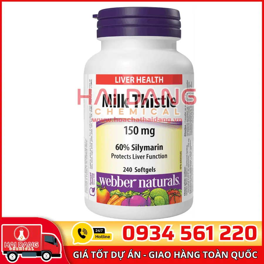 Silymarin Milk Thistle Trung Quốc – Chiết Xuất Bảo Vệ Gan Hiệu Quả