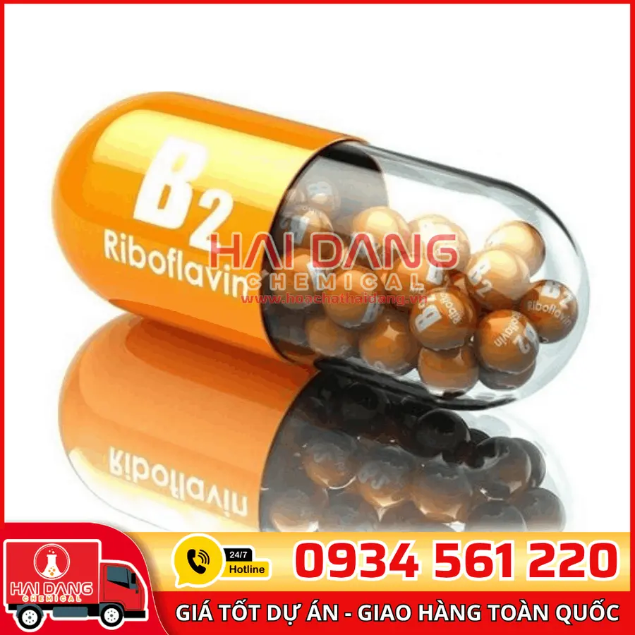 Vitamin B2 Riboflavin Trung Quốc – Nguyên Liệu Dược Phẩm
