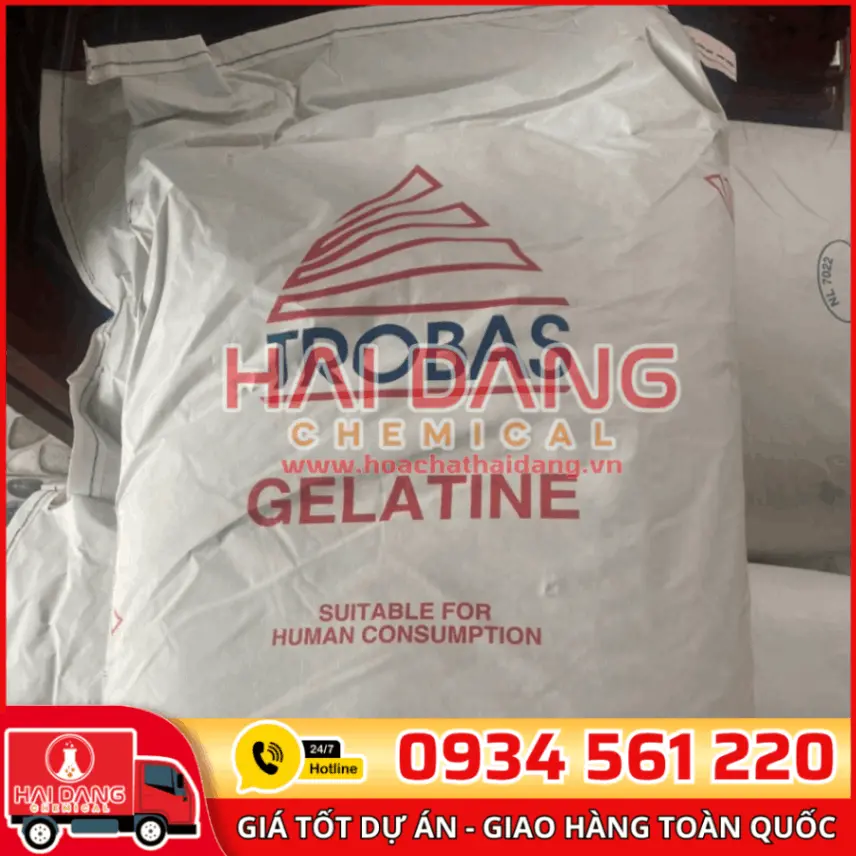 Gelatin Hà Lan 