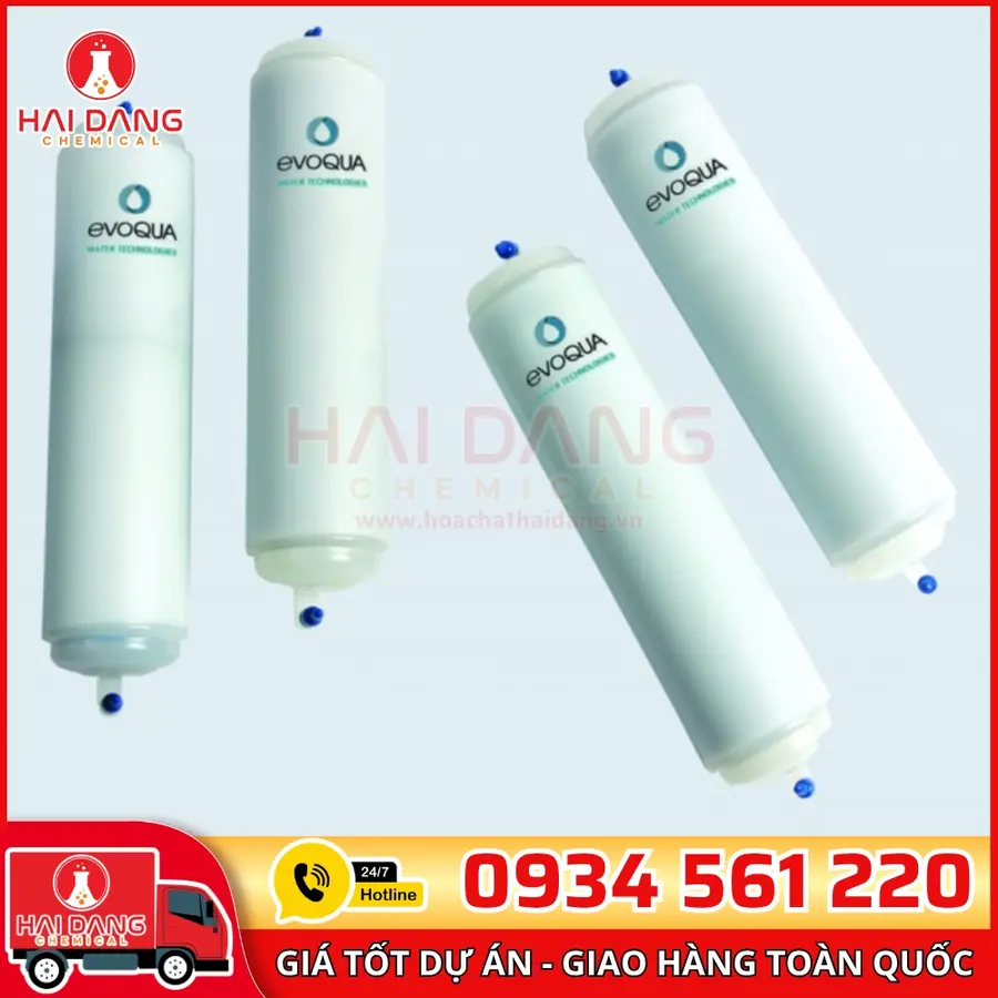 Cột lọc cho máy lọc nước siêu sạch Evoqua Water Technologies - Polishing Module ILT for low inorganic application W3T199853
