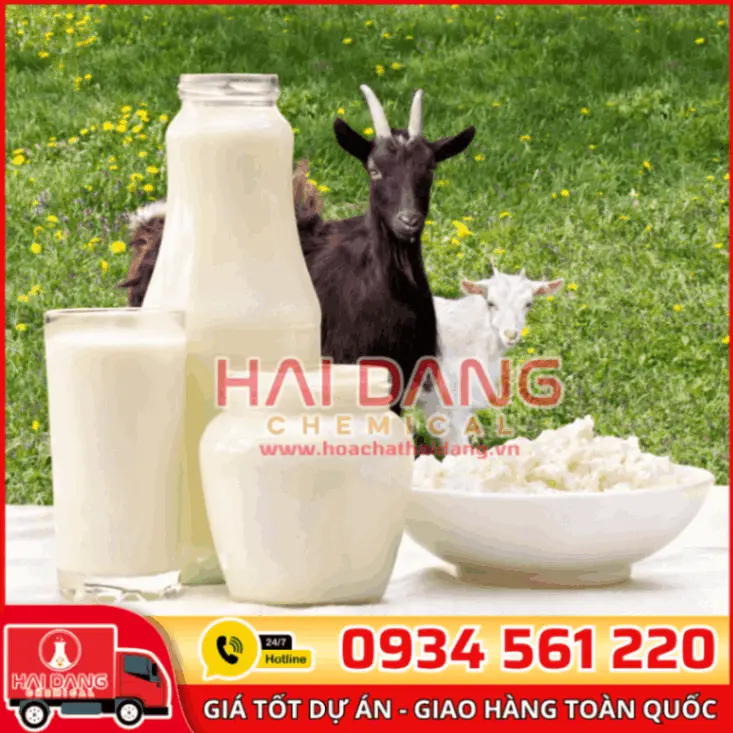Hương Goat Milk (Sữa Dê) 