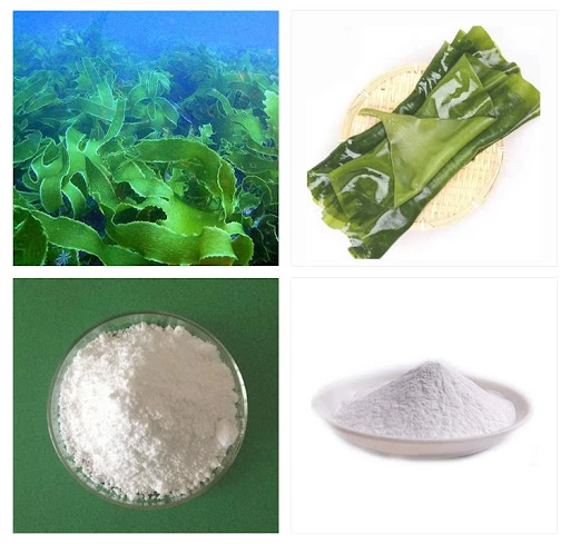 Phụ Gia Làm Dày Và Tạo Gel Sodium Alginate