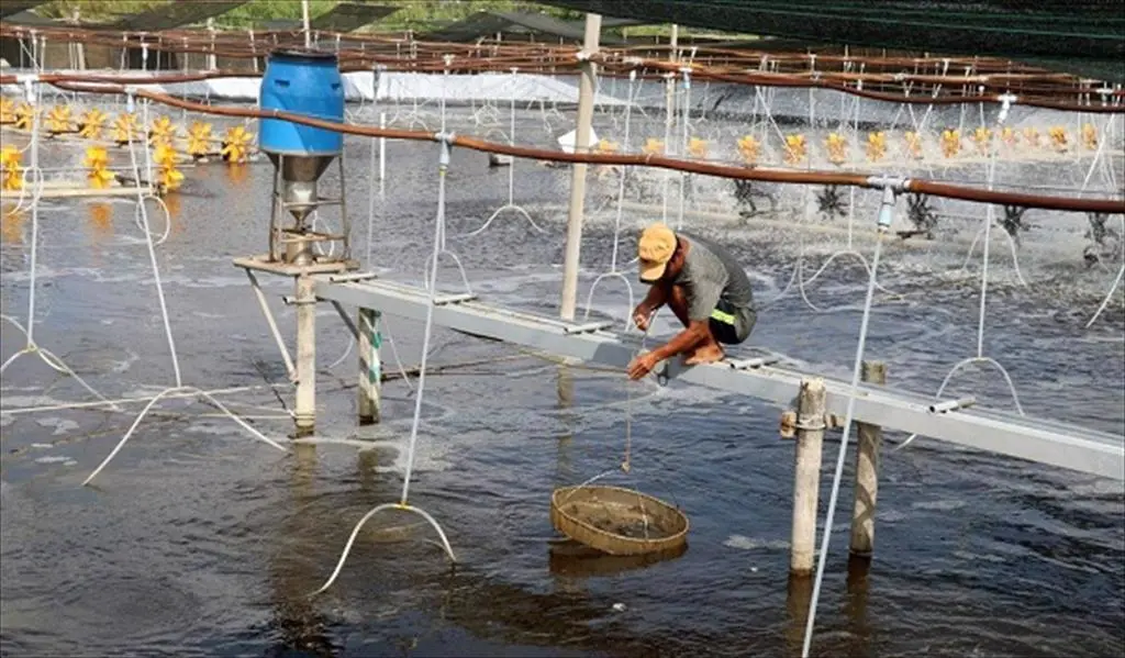 Địa Chỉ Cung Cấp Hóa Chất Nuôi Thủy Sản Tốt Nhất Hà Giang – Hàng Chính Hãng, Giá Tốt
