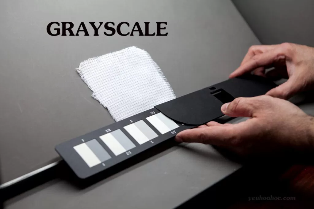 GRAYSCALE LÀ GÌ? ỨNG DỤNG NHƯ THẾ NÀO?