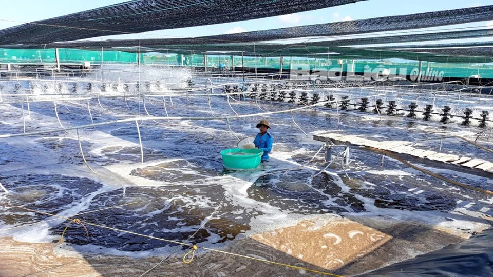 Mua Hóa Chất Nuôi Thủy Sản Ở Thái Nguyên - Giá Tốt, Hỗ Trợ Tận Nơi