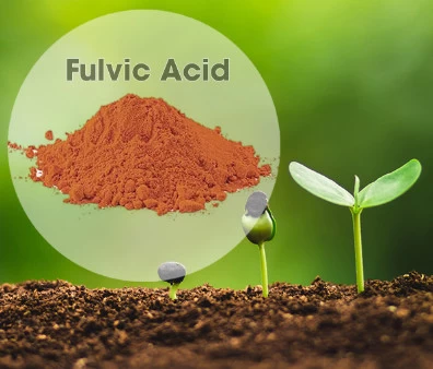 Những Công Dụng Tuyệt Vời Của Acid Fulvic