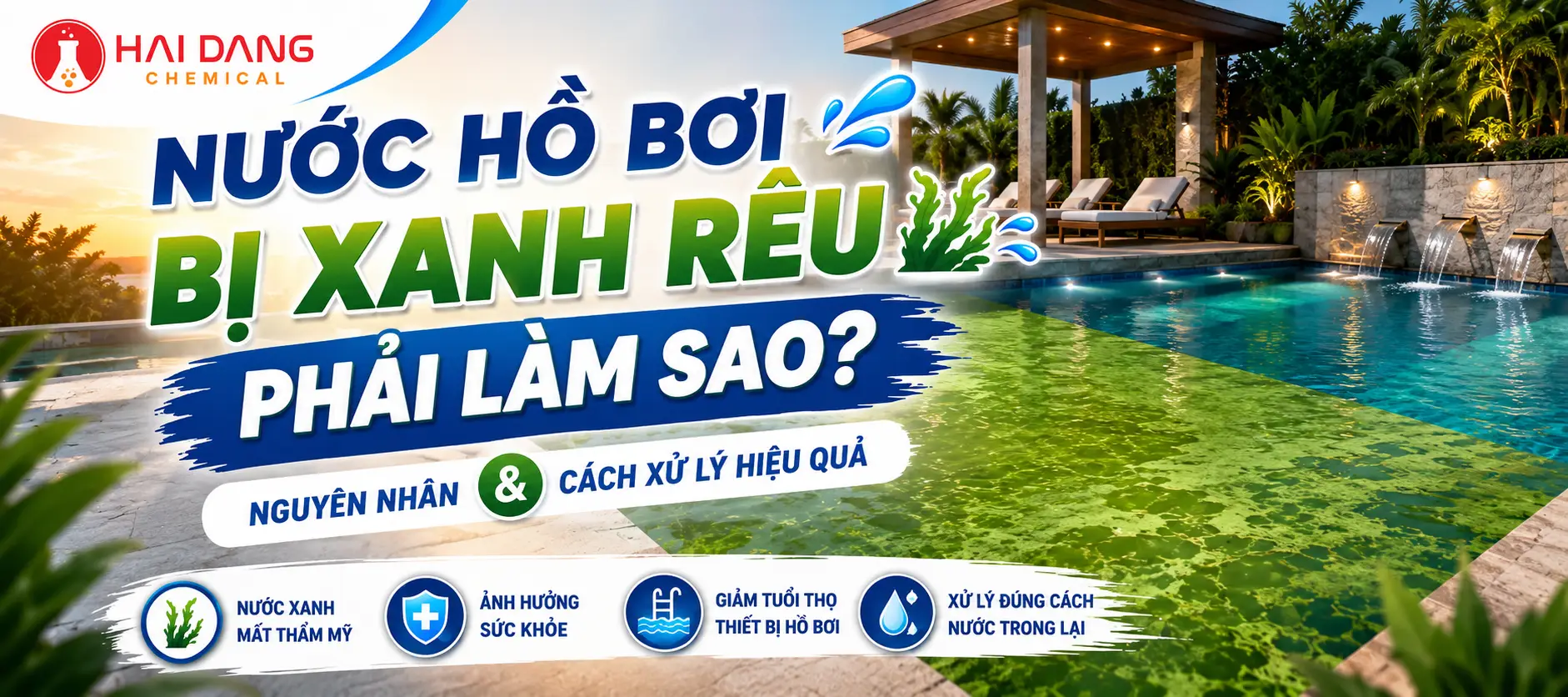 Nước Hồ Bơi Bị Xanh Rêu Phải Làm Sao? Nguyên Nhân Và Cách Xử Lý Hiệu Quả