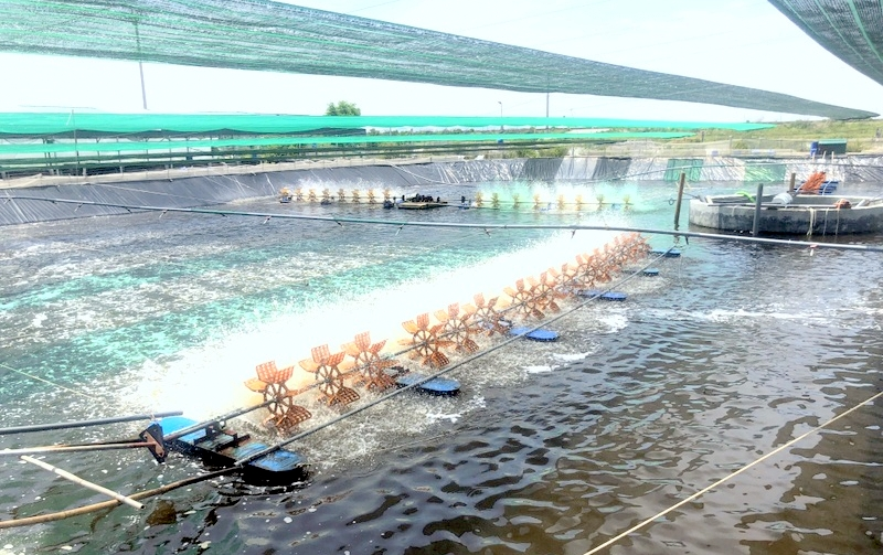 Mua Bán Hóa Chất Nuôi Trồng Thủy Sản Tại Lạng Sơn - Uy Tín, Chất Lượng
