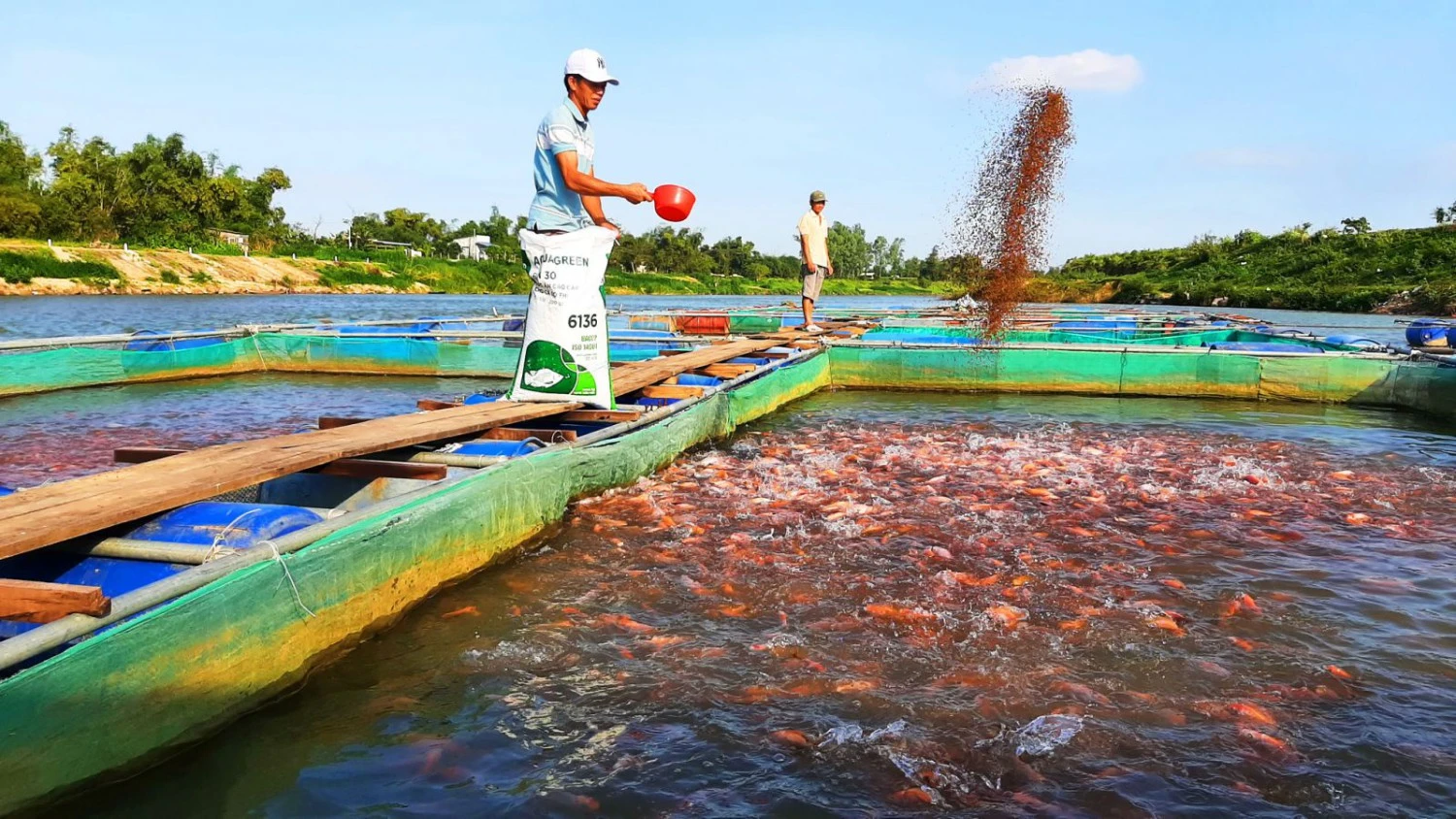 Phân Phối Hóa Chất Nuôi Trồng Thủy Sản Ở Lạng Sơn - Hàng Chính Hãng