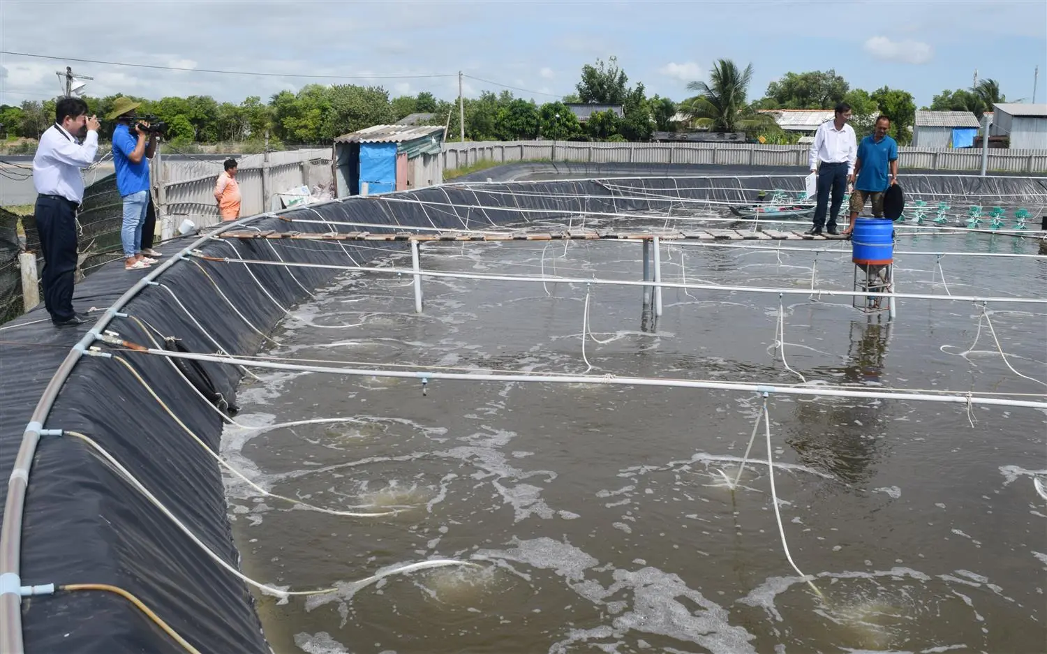 Mua Hóa Chất Nuôi Thủy Sản Ở Phú Thọ - Giá Tốt, Hỗ Trợ Tận Nơi