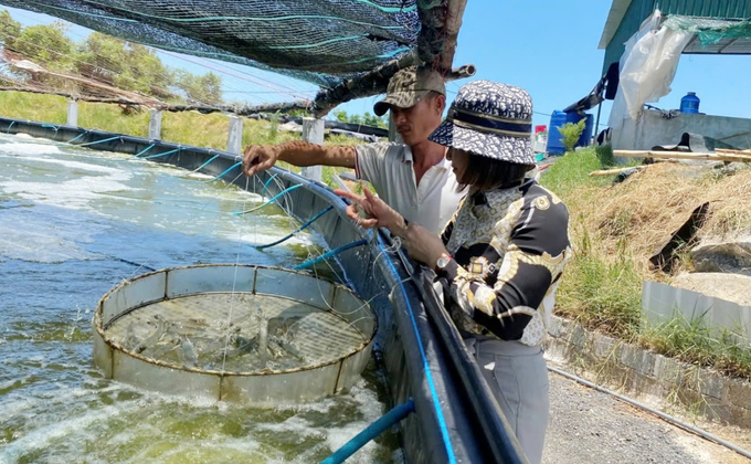 Hóa Chất Nuôi Trồng Thủy Sản Tại Bắc Giang - Uy Tín, Đảm Bảo An Toàn