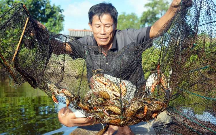 Hóa Chất Nuôi Trồng Thủy Sản Tại Thái Nguyên - Chuyên Sỉ & Lẻ, Giao Nhanh