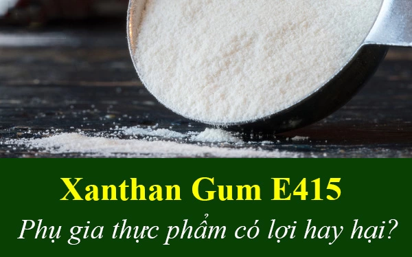 Tìm Hiểu Về Phụ Gia Thực Phẩm Xanthan Gum