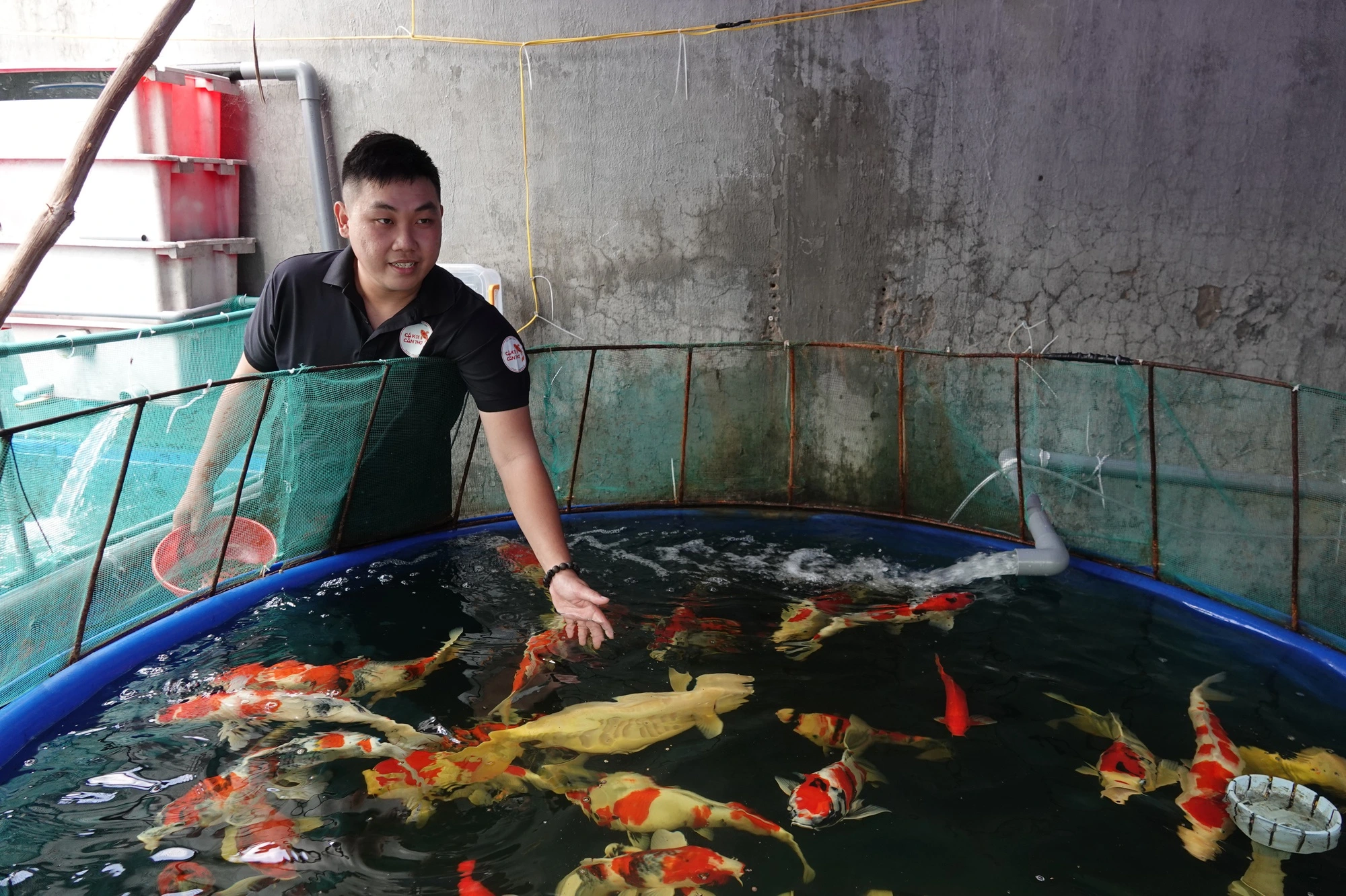 Phân Phối Hóa Chất Nuôi Trồng Thủy Sản Ở Bắc Kạn - Hàng Chính Hãng