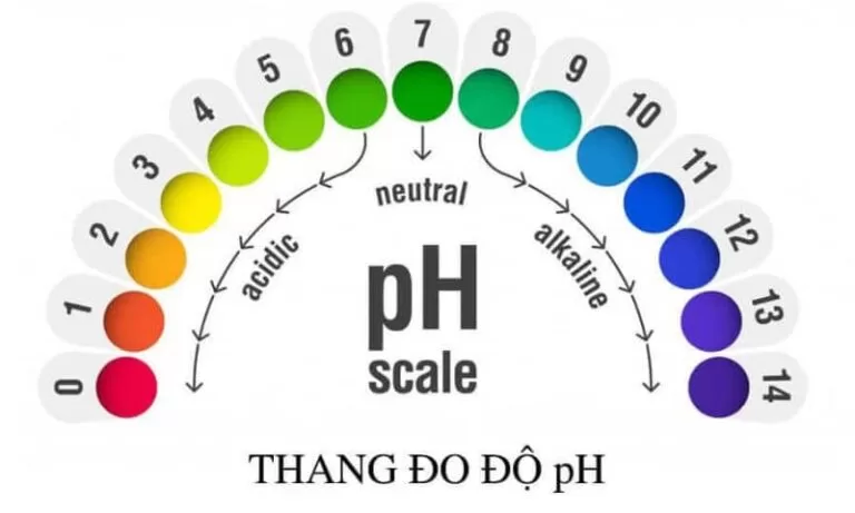 Độ pH là gì? Độ pH trong các dung dịch và cách xác định